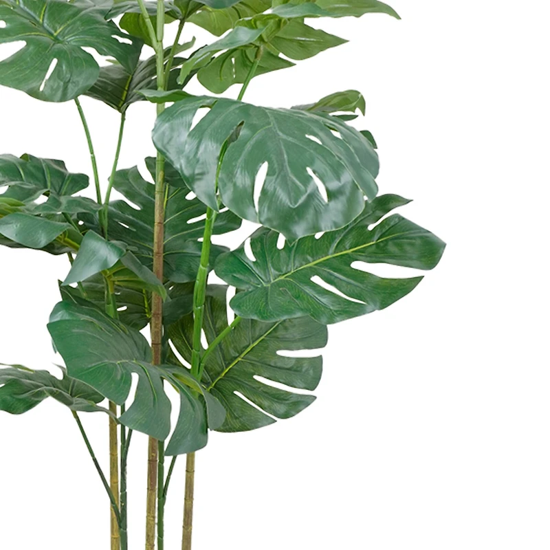 5ft. Potted Monstera Deliciosa Tree by Ashland®