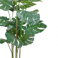 5ft. Potted Monstera Deliciosa Tree by Ashland®