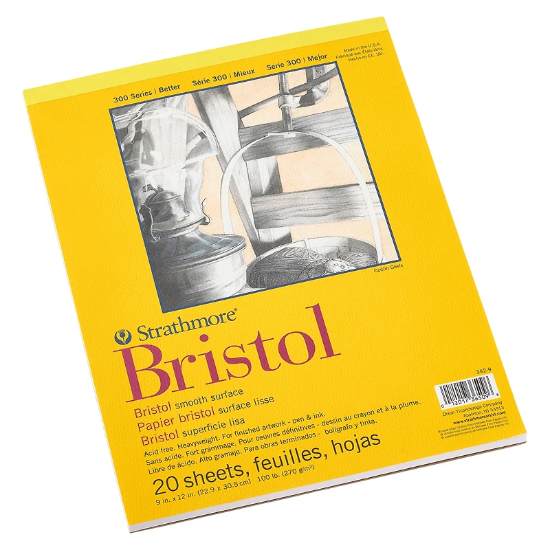 12 Pack: Strathmore® 300 Series Bristol Smooth Pad