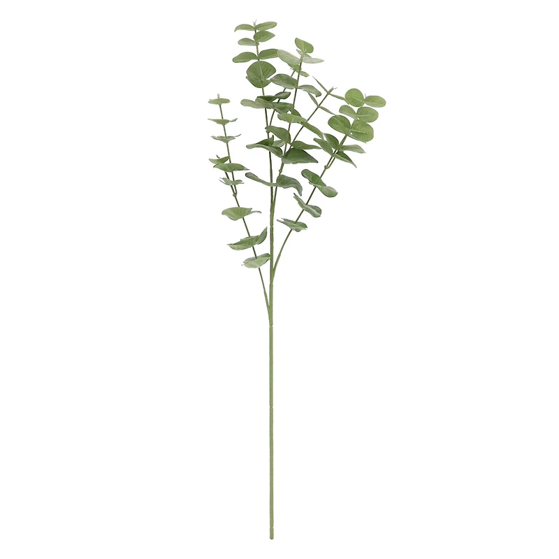 Green Gunni Eucalyptus Stem by Ashland®