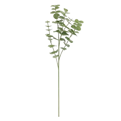 Green Gunni Eucalyptus Stem by Ashland®