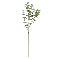 Green Gunni Eucalyptus Stem by Ashland®