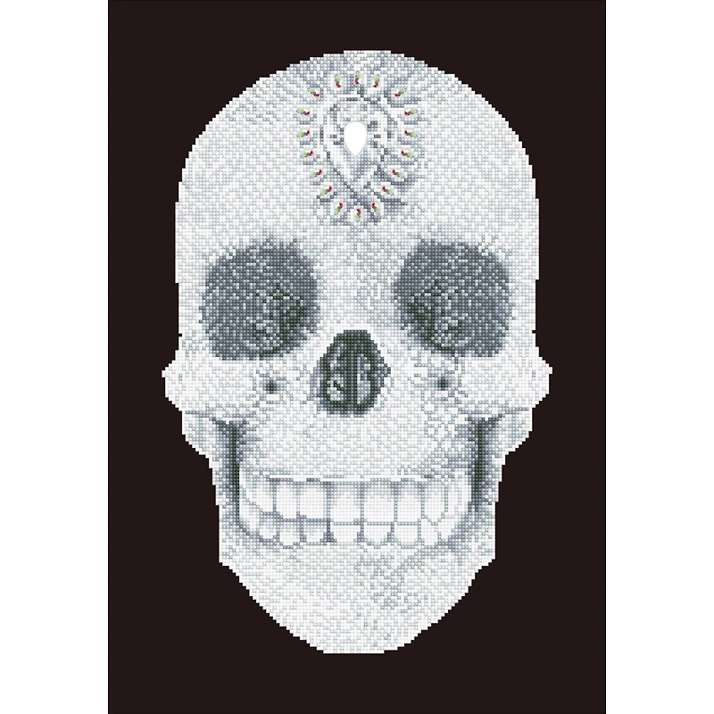 Diamond Dotz® Crystal Skull Diamond Painting Kit