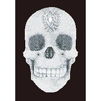 Diamond Dotz® Crystal Skull Diamond Painting Kit