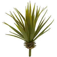 Spiky Agave Succulent Pick, 12ct. 