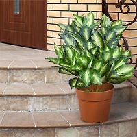 24" Artificial Hosta Plant