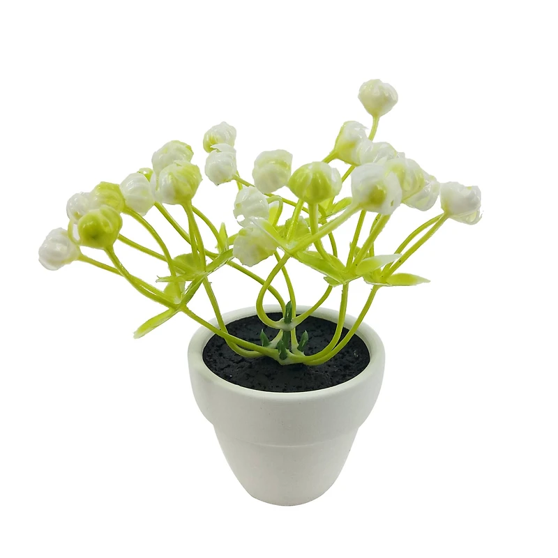 Assorted Micro Plant, 1pc. by Ashland®
