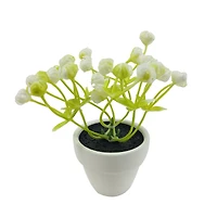 Assorted Micro Plant, 1pc. by Ashland®