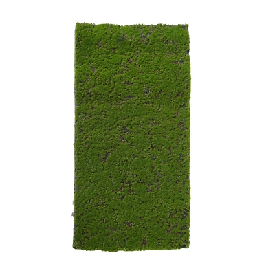 12" x 23.5" Faux Moss Mat by Ashland®