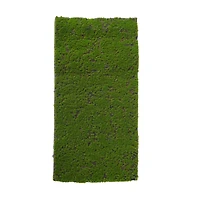 12" x 23.5" Faux Moss Mat by Ashland®