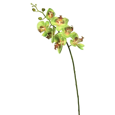 Green Real Touch Orchid Artificial Floral Stem