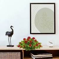 12" Geranium Ledge Plant