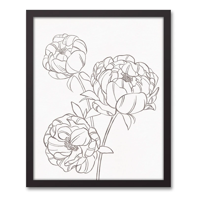 Gray Peony Sketch Black Framed Canvas
