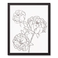 Gray Peony Sketch Black Framed Canvas