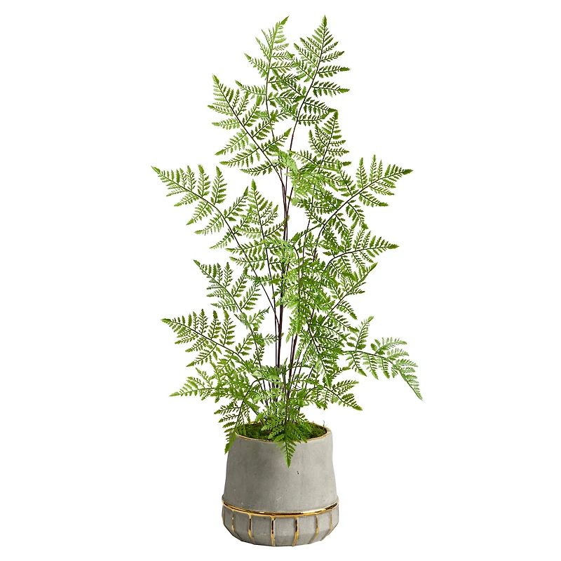 3ft. Ruffle Fern Tree in Gold Trimmed Stoneware Planter
