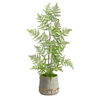 3ft. Ruffle Fern Tree in Gold Trimmed Stoneware Planter