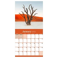 TF Publishing 2025 Trees Wall Calendar
