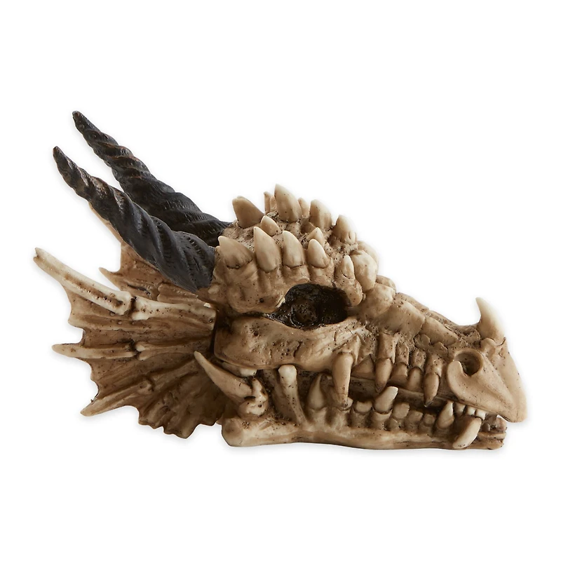 12" Snarling Dragon Skull Treasure Trove Box