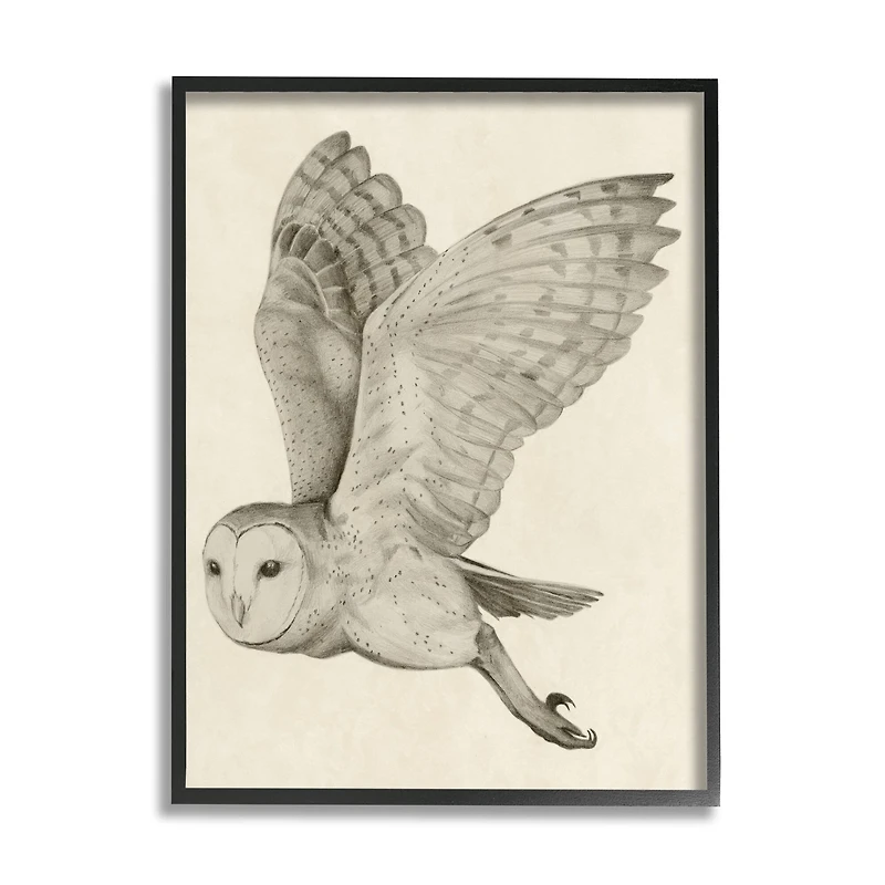 Stupell Industries Flying Barn Owl Wings Detailed Drawing Framed Giclee Art