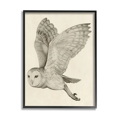 Stupell Industries Flying Barn Owl Wings Detailed Drawing Framed Giclee Art
