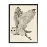 Stupell Industries Flying Barn Owl Wings Detailed Drawing Framed Giclee Art