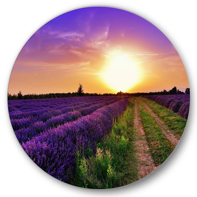 Designart - Lavender Field At Dawn II