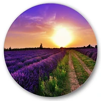 Designart - Lavender Field At Dawn II