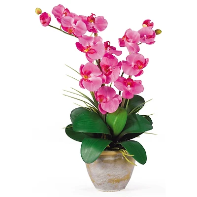 2ft. Double Moth Orchid Silk Flower Arrangement