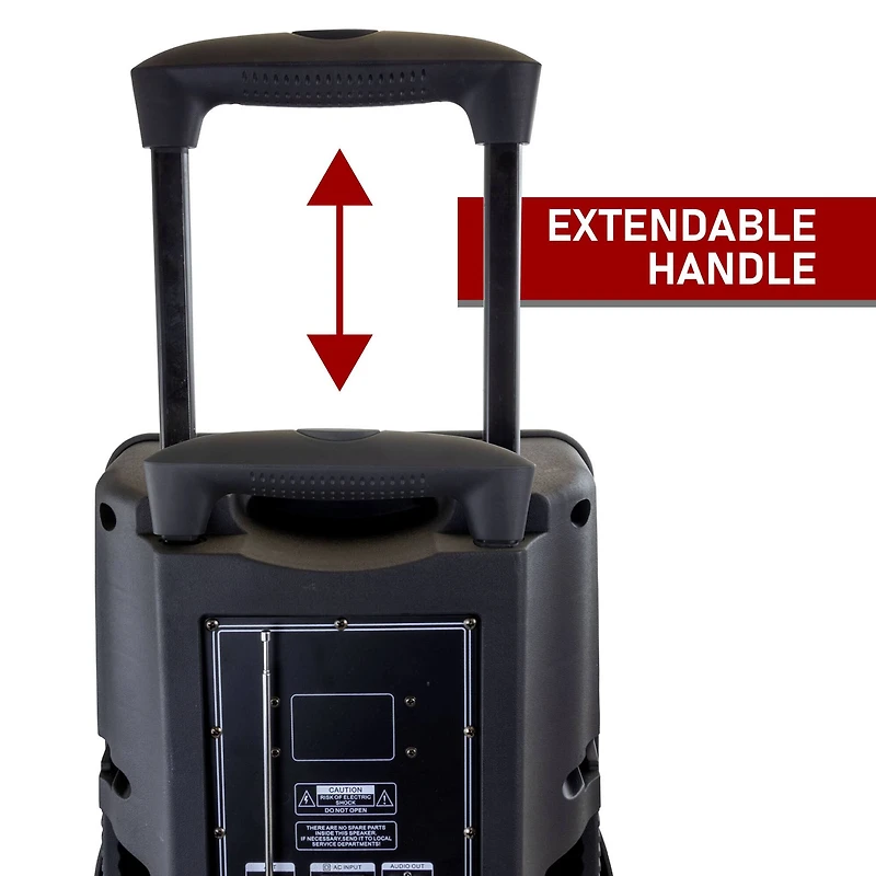 beFree Sound 15" Bluetooth Portable Rechargeable Party Speaker With LED Lights