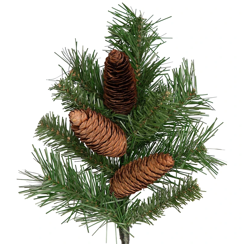 Dakota Red Pine Stem with Pine Cones