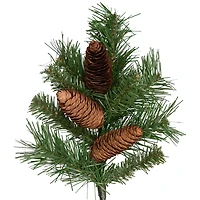 Dakota Red Pine Stem with Pine Cones