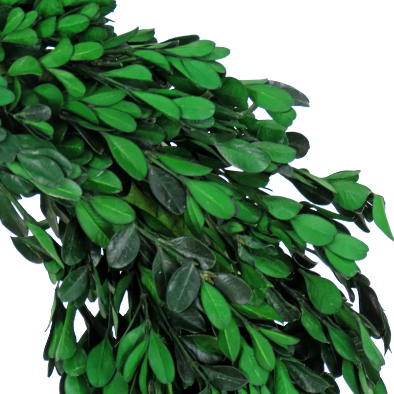 18" Spring Boxwood Wreath