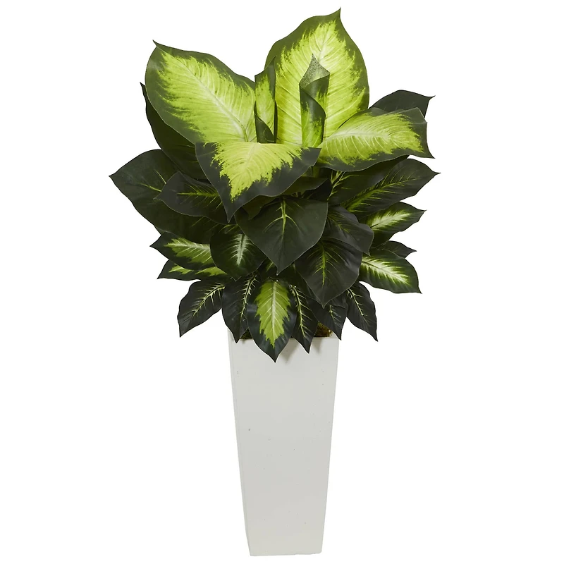 3ft. Golden Dieffenbachia Plant in White Tower Planter