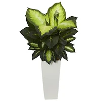 3ft. Golden Dieffenbachia Plant in White Tower Planter