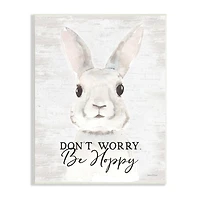 Stupell Industries Don't Worry Be Hoppy Easter Bunny Rabbit Pun Wall Plaque Art
