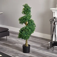 4ft. Potted Spiral Boxwood Tree