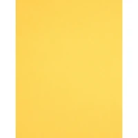 PA Paper™ Accents 8.5" x 11" Lemonade 74lb. Canvas Cardstock, 25 Sheets