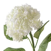8 Pack: Cream Hydrangea Stem by Ashland®