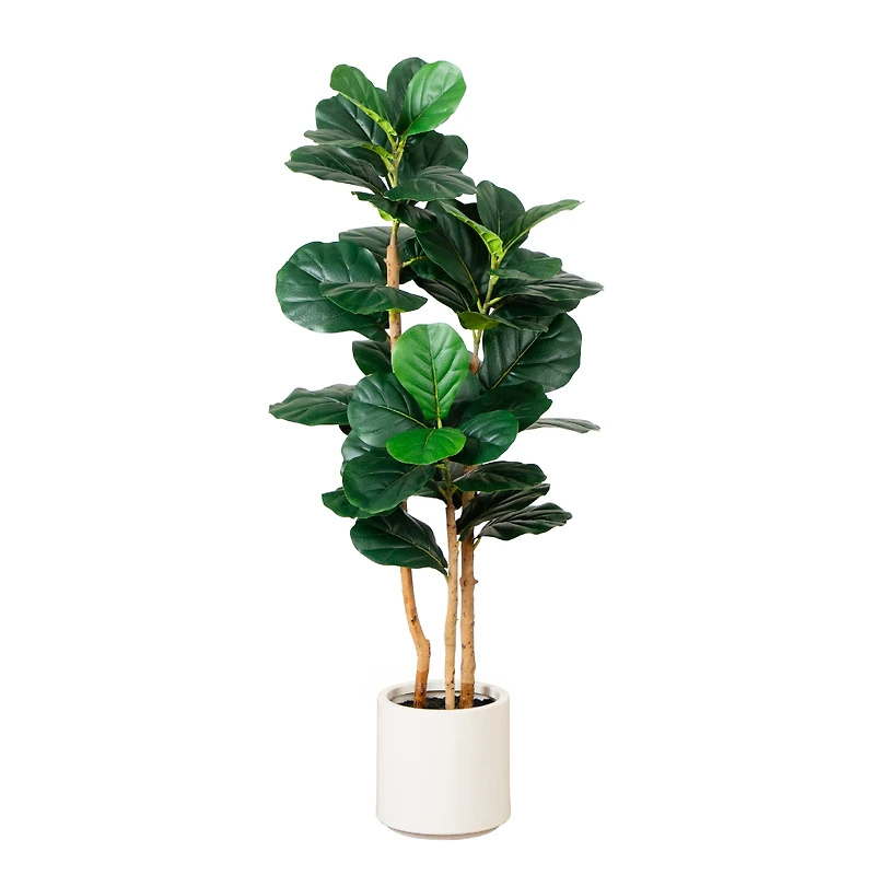 4ft. Fiddle Leaf Tree in Decorative White Planter