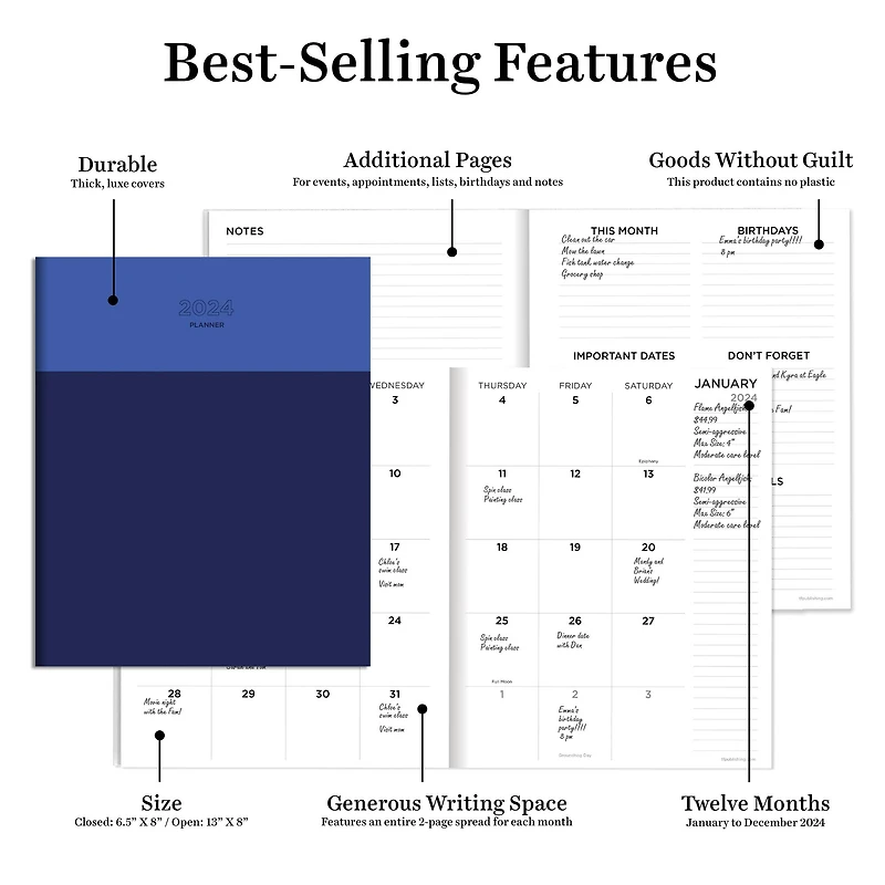 TF Publishing Medium 2024 Blue Blocker Monthly Planner