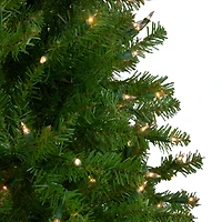4' Pre-Lit Northern Pine Full Artificial Christmas Tree - Clear Lights