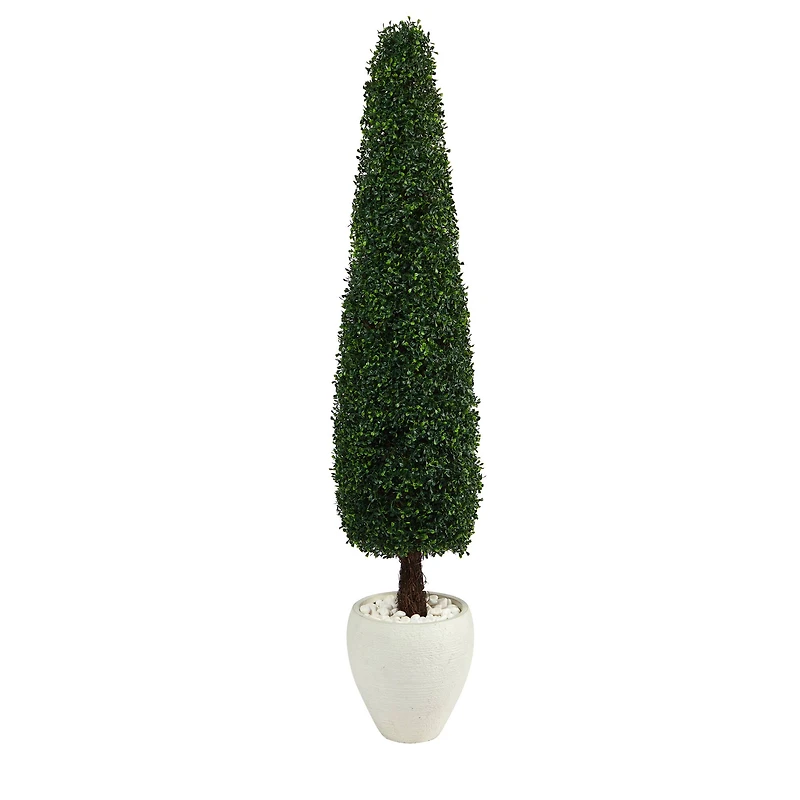 5.25ft. Boxwood Topiary in White Planter