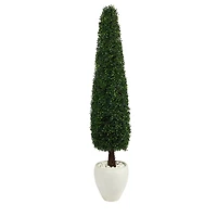 5.25ft. Boxwood Topiary in White Planter