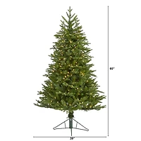 5ft. Pre-Lit Cambridge Fir Artificial Christmas Tree, Clear LED Lights