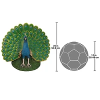 Design Toscano 24" Peacock Plumage Garden Statue