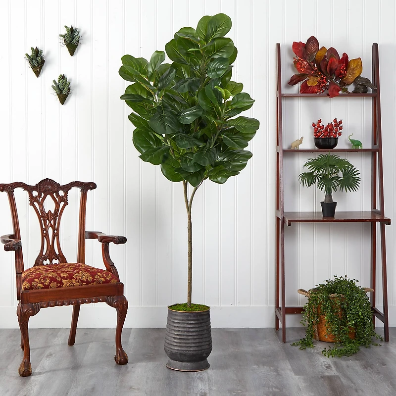 6ft. Fiddle Leaf Fig Tree in Ribbed Metal Planter