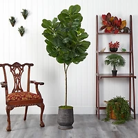 6ft. Fiddle Leaf Fig Tree in Ribbed Metal Planter