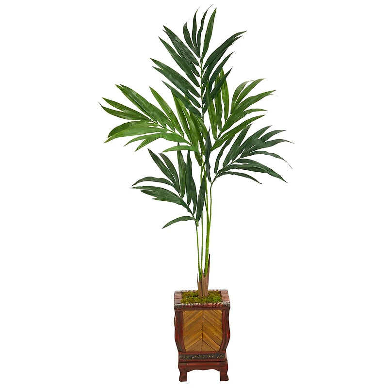 4.5ft. Kentia Palm Tree in Decorative Planter