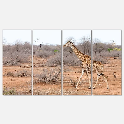 Designart - Giraffe Walking through African Forest