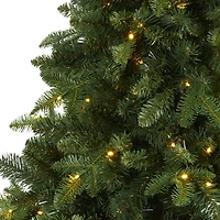 7ft. Pre-Lit Grand Teton Spruce Flat Back Artificial Christmas Tree, Clear LED Lights